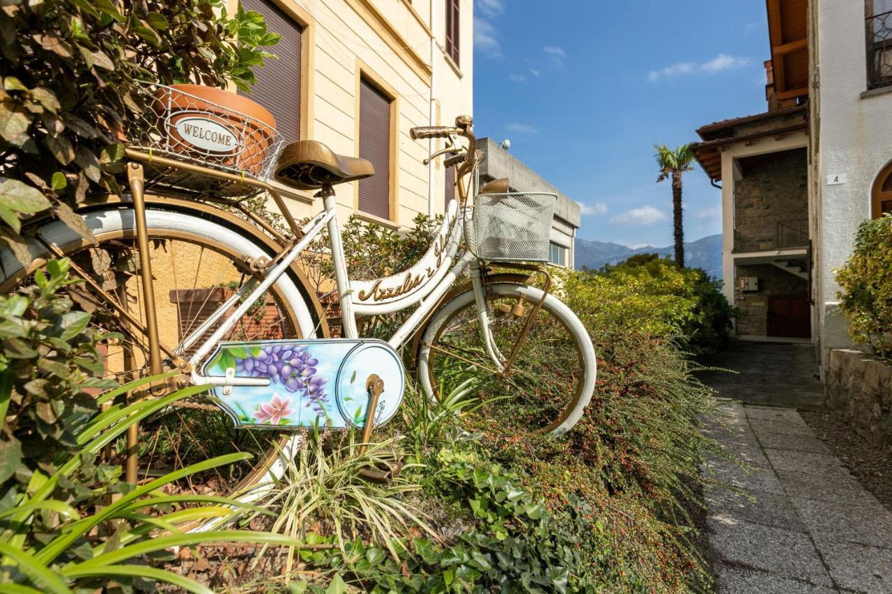Residence Azalea&Glicine By Halldis Cadenabbia Esterno foto